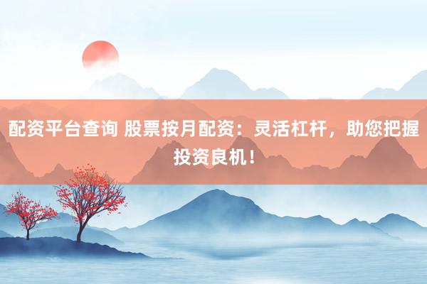 配资平台查询 股票按月配资：灵活杠杆，助您把握投资良机！