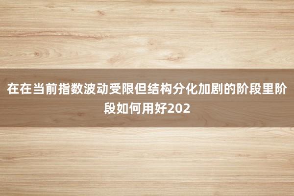 在在当前指数波动受限但结构分化加剧的阶段里阶段如何用好202