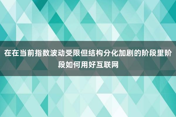 在在当前指数波动受限但结构分化加剧的阶段里阶段如何用好互联网