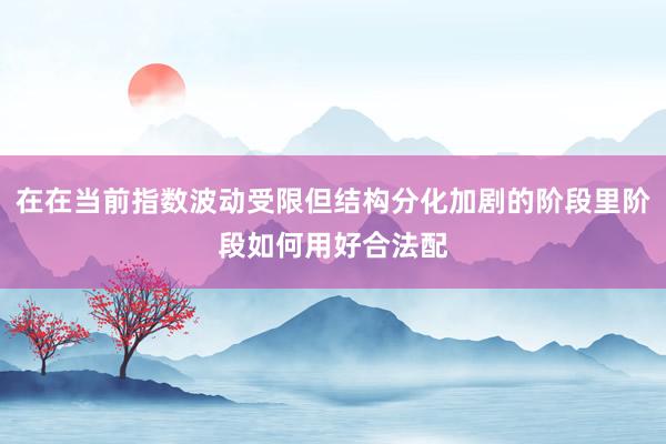 在在当前指数波动受限但结构分化加剧的阶段里阶段如何用好合法配