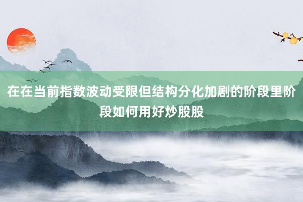 在在当前指数波动受限但结构分化加剧的阶段里阶段如何用好炒股股