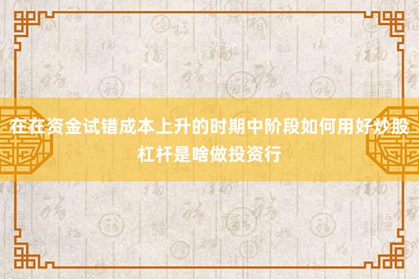 在在资金试错成本上升的时期中阶段如何用好炒股杠杆是啥做投资行