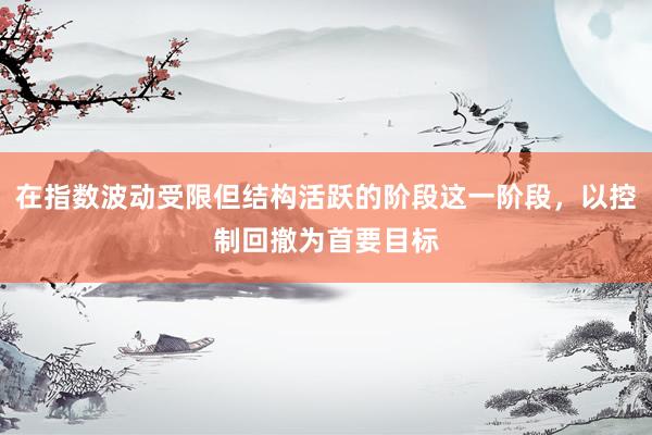 在指数波动受限但结构活跃的阶段这一阶段，以控制回撤为首要目标