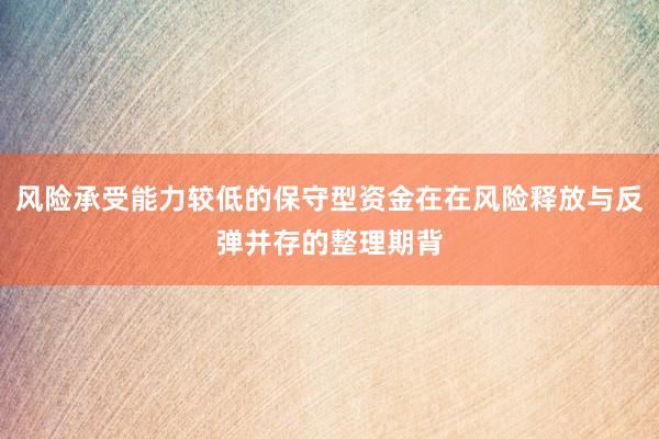 风险承受能力较低的保守型资金在在风险释放与反弹并存的整理期背