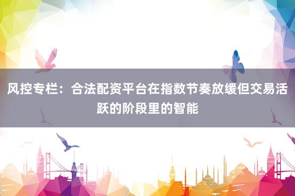 风控专栏：合法配资平台在指数节奏放缓但交易活跃的阶段里的智能