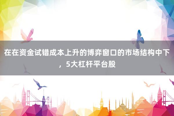 在在资金试错成本上升的博弈窗口的市场结构中下，5大杠杆平台股