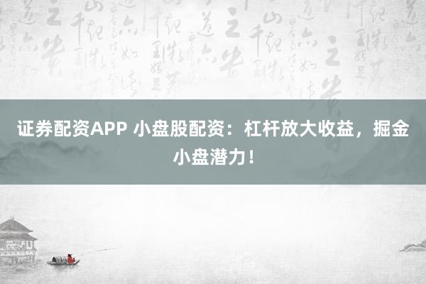 证券配资APP 小盘股配资：杠杆放大收益，掘金小盘潜力！