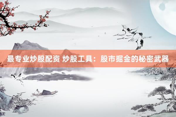 最专业炒股配资 炒股工具：股市掘金的秘密武器