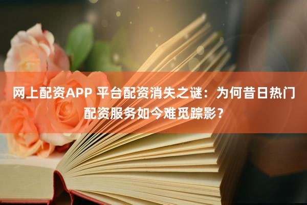 网上配资APP 平台配资消失之谜：为何昔日热门配资服务如今难觅踪影？