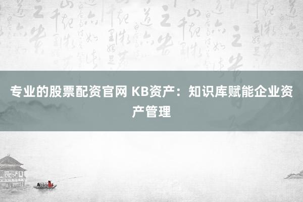 专业的股票配资官网 KB资产：知识库赋能企业资产管理