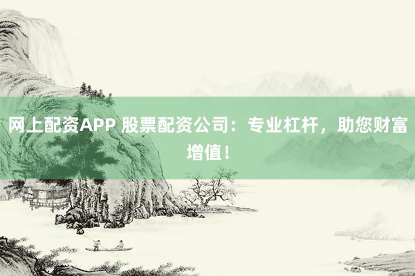 网上配资APP 股票配资公司：专业杠杆，助您财富增值！